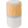 Illuminated wireless speaker in ABS and Salvador bambou - Wooden product at wholesale prices