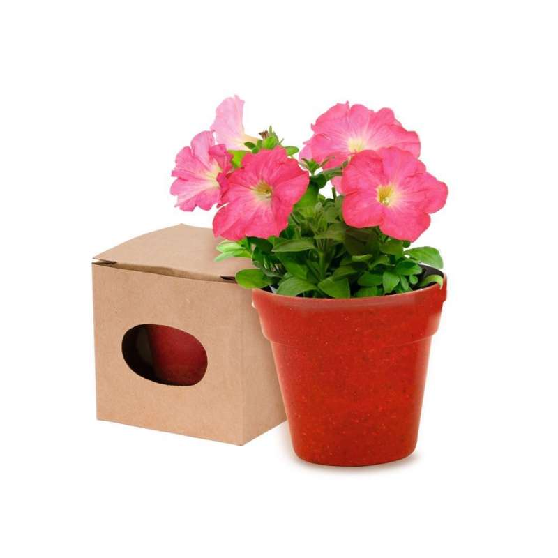 Vaso Fiori Biodegradabile con Semi Petunia - Prodotto biodegradabile a prezzi all'ingrosso Vaso Fiori Biodegradabile con Semi Petunia - Prodotto biodegradabile a prezzi all'ingrosso