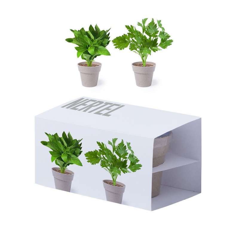 Set di 2 Vasi Naturali con Semi di Menta e Prezzemolo - Prodotto biodegradabile a prezzi all'ingrosso Set di 2 Vasi Naturali con Semi di Menta e Prezzemolo - Prodotto biodegradabile a prezzi all'ingrosso
