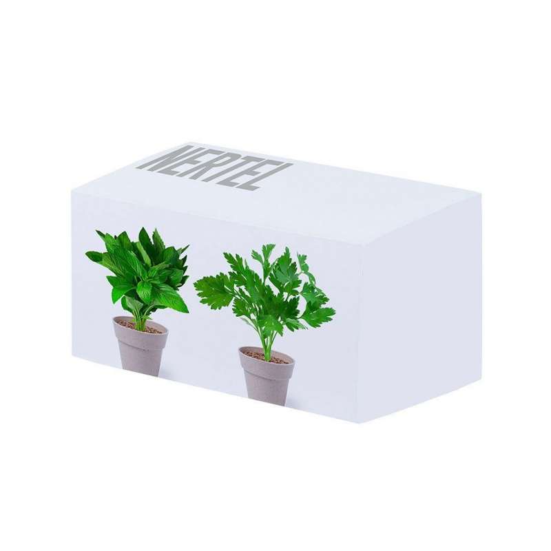 NERTEL Flower Pot Set - Gardening tool at wholesale prices