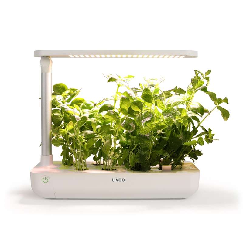 Jardin dintérieur - Lampe led à prix grossiste