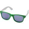 Sun Ray sunglasses with colored frames - Bullet - Sunglasses at wholesale prices