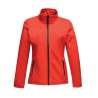 Women's 3-layer softshell - Softshell at wholesale prices