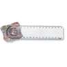 15 cm transparent ruler with magnifying glass - Rule at wholesale prices