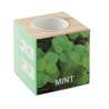 MENTA - Wooden pot with mint seed - Gardening tool at wholesale prices