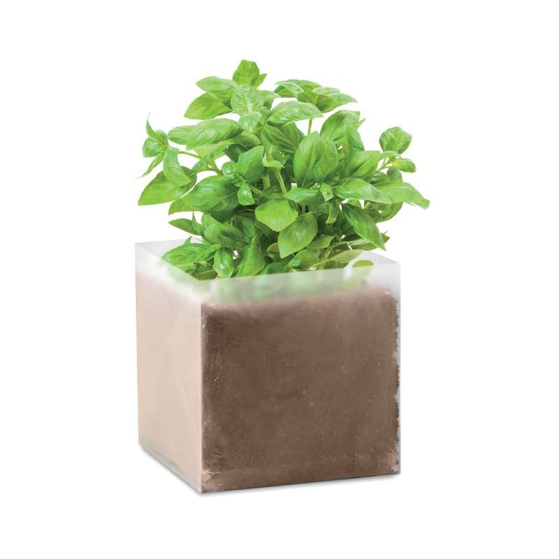 BASIL - Substrate with Basil seeds. - Seed to be planted at wholesale prices