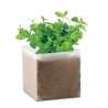 MINT - Substrate with Mint seeds - Seed to be planted at wholesale prices