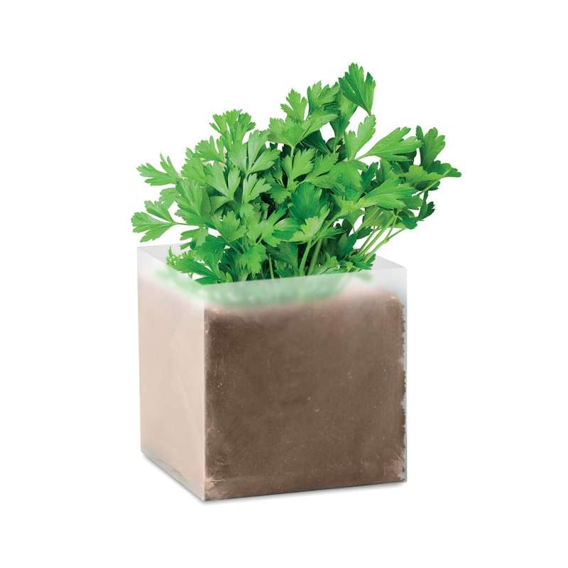 PARSELY - Substrate with seeds Parsley - Seed to be planted at wholesale prices