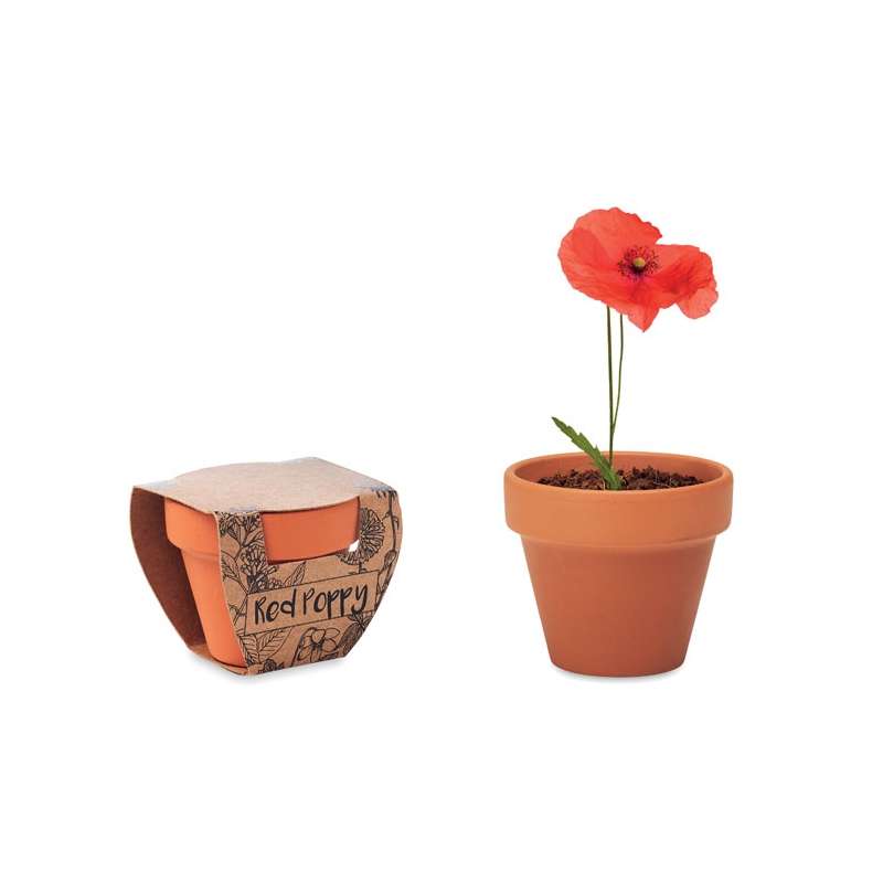 RED POPPY - Poppy seed pot - Seed to be planted at wholesale prices
