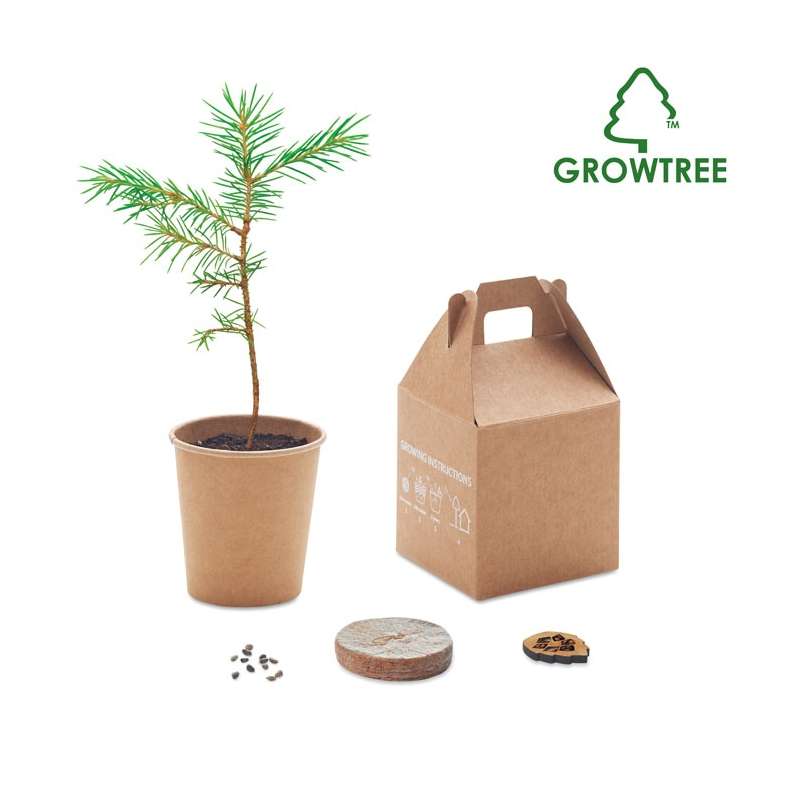 Growtree - One Set, One Pin - Seed to be planted at wholesale prices