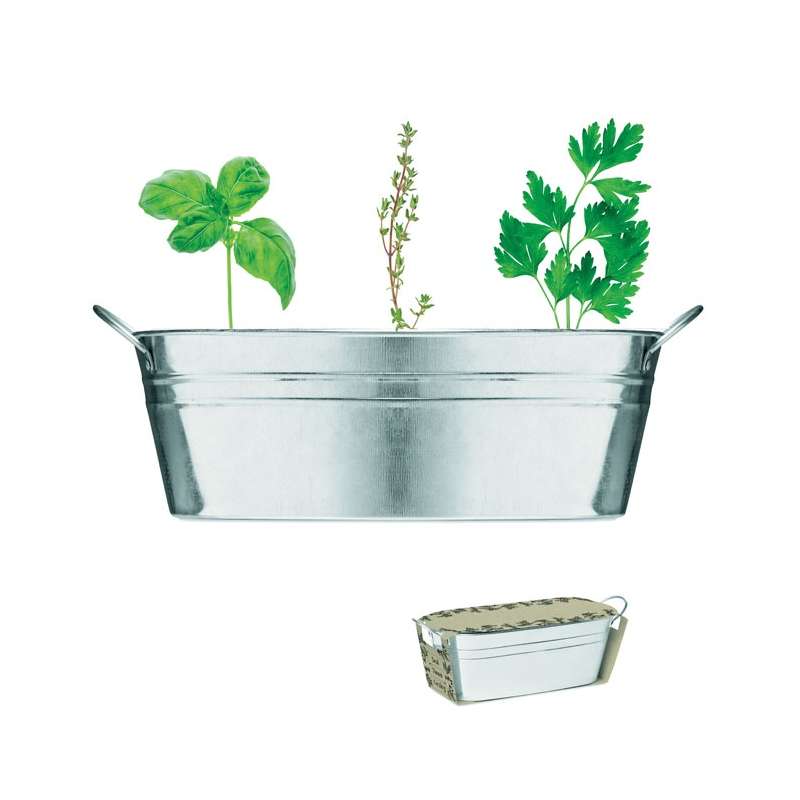 MIX SEEDS Zinc herb container - Seed to be planted at wholesale prices