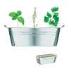 MIX SEEDS Zinc herb container - Seed to be planted at wholesale prices