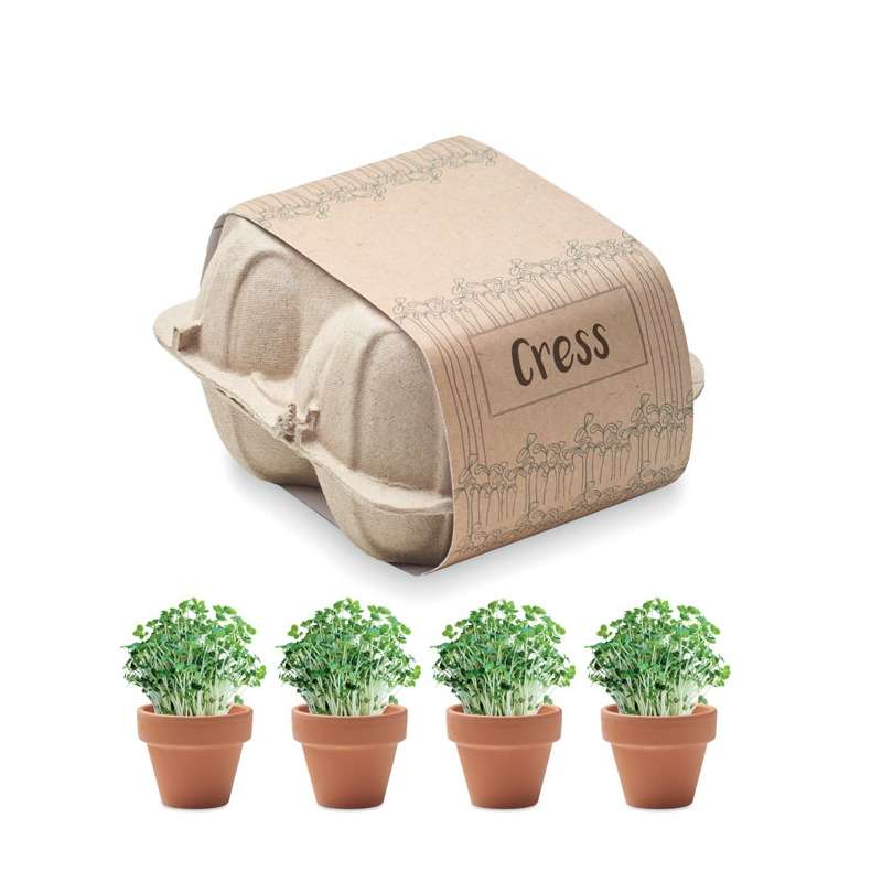 CRESS Egg carton growing kit - Seed to be planted at wholesale prices
