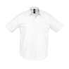 BRISBANE - Men's shirt at wholesale prices
