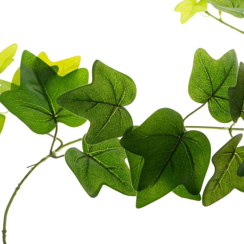 Guirlande de lierre L190cm - fleur artificielle à prix grossiste Guirlande de lierre L190cm - fleur artificielle à prix grossiste