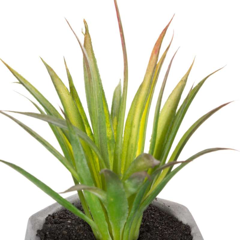 Plante grasse artificielle en pot - Modèle A - fleur artificielle à prix grossiste Plante grasse artificielle en pot - Modèle A - fleur artificielle à prix grossiste