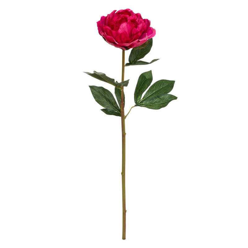 Tige pivoine Real Touch H68cm - Rose à prix grossiste - fleur artificielle à prix de gros Tige pivoine Real Touch H68cm - Rose à prix grossiste - fleur artificielle à prix de gros