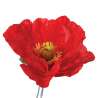 Coquelicot artificiel H70cm - fleur artificielle à prix grossiste