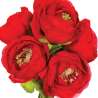 Bouquet de 6 renoncules artificielles H25cm - Ivoire - fleur artificielle à prix grossiste