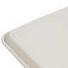 Plateau plaqué 38x26cm en bambou - service tray à prix grossiste Plateau plaqué 38x26cm en bambou - service tray à prix grossiste