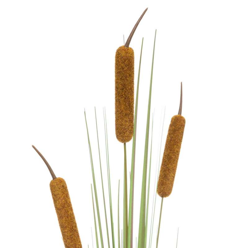 Tige roseau x 3 H100cm - fleur artificielle à prix grossiste Tige roseau x 3 H100cm - fleur artificielle à prix grossiste