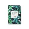 Jabón Tropical Blossom 160g con aceite de oliva - jabón a precios de mayorista Jabón Tropical Blossom 160g con aceite de oliva - jabón a precios de mayorista