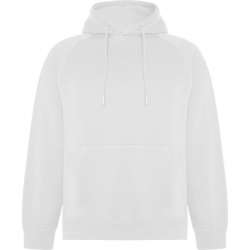 Unisex 300G Hoodie with...