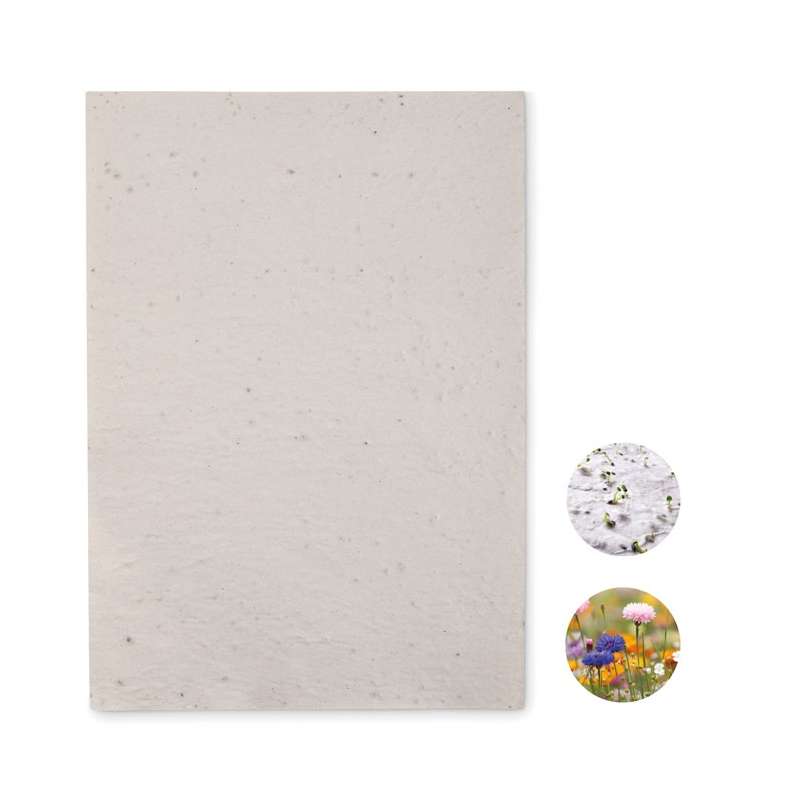 A4 Recyclingpapier für Wildblumensamen - Pflanzsamen zu Großhandelspreisen