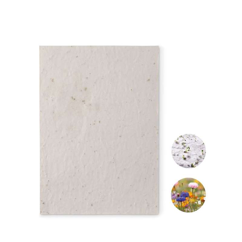 Papier A5 graines de fleurs à prix grossiste - Graine à planter à prix de gros