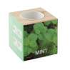 Pot en bois avec graines de menthe - Plante à prix grossiste Pot en bois avec graines de menthe - Plante à prix grossiste