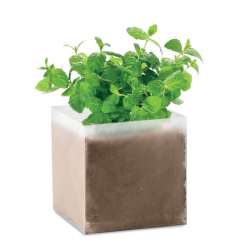 300 ml Menthe-Samen...