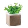 Sustrato de jardín con semillas de menta - Semilla para plantar a precios de mayorista Sustrato de jardín con semillas de menta - Semilla para plantar a precios de mayorista