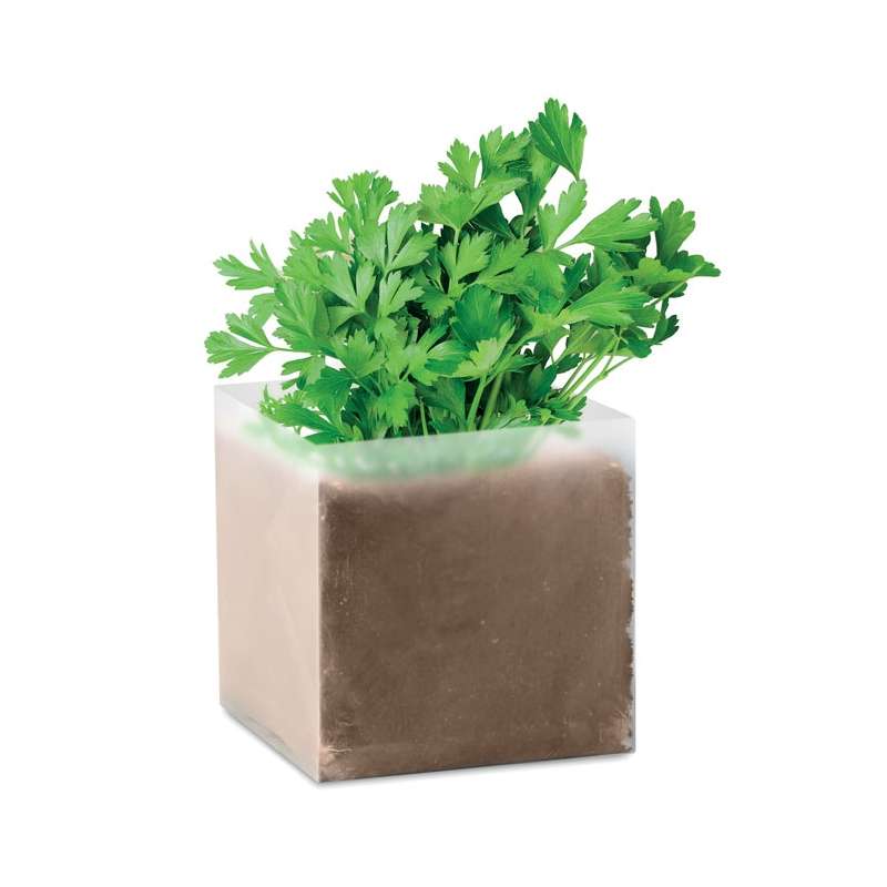 Substrat avec graines Persil à prix grossiste - Graine à planter à prix de gros