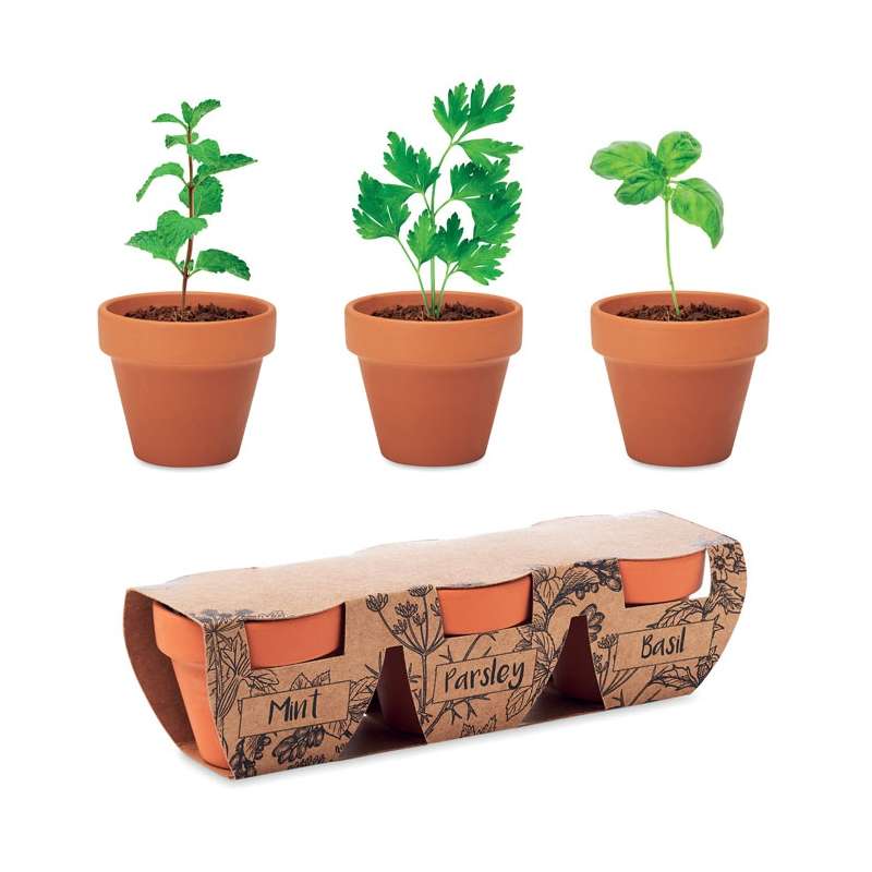 Set de 3 pots en terre - Mini pot de fleurs à prix grossiste
