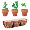 Sæt med 3 lerpotter til krydderurter - Plantefrø til engrospris Sæt med 3 lerpotter til krydderurter - Plantefrø til engrospris