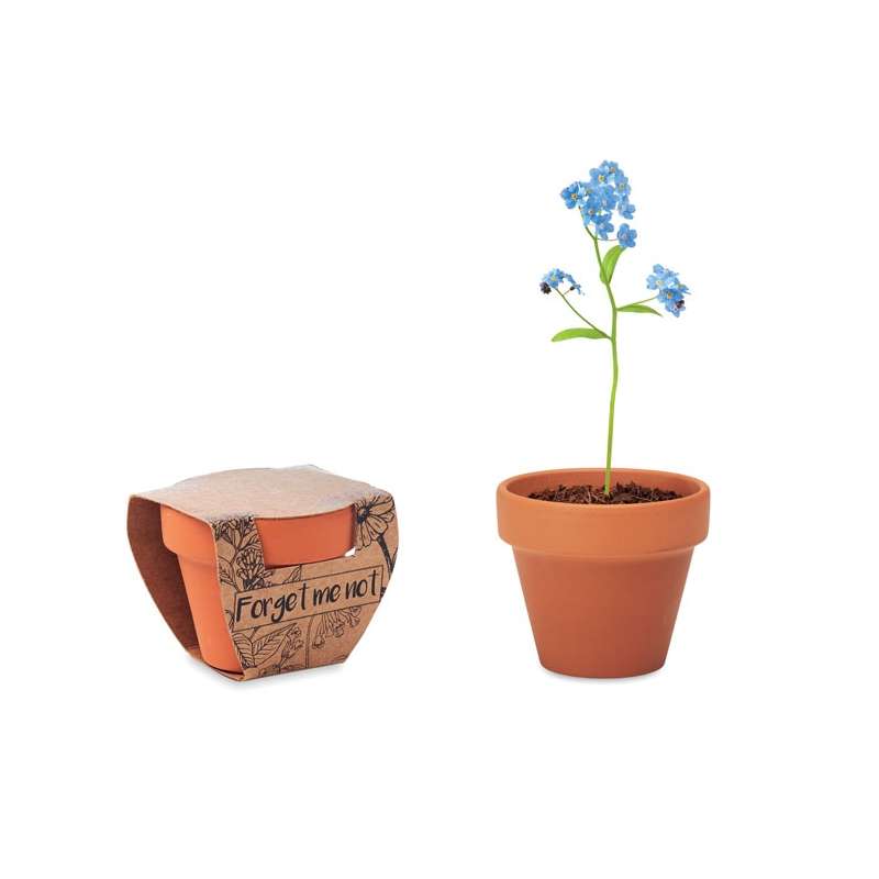 Pot graines de myosotis à prix grossiste - Mini pot de fleurs à prix de gros