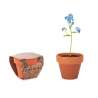 Terracotta Pot with Forget-Me-Not Seeds - Planting seed at wholesale prices