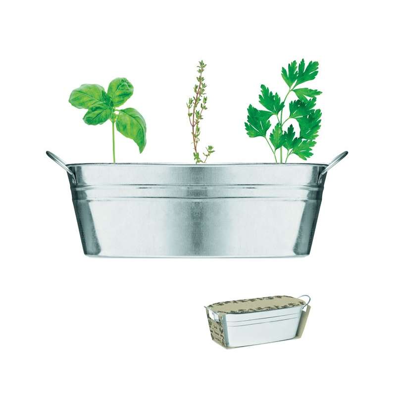 Bac en zinc herbes aromatique - Graine à planter à prix grossiste