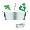Bac en zinc herbes aromatique - Graine à planter à prix grossiste Bac en zinc herbes aromatique - Graine à planter à prix grossiste