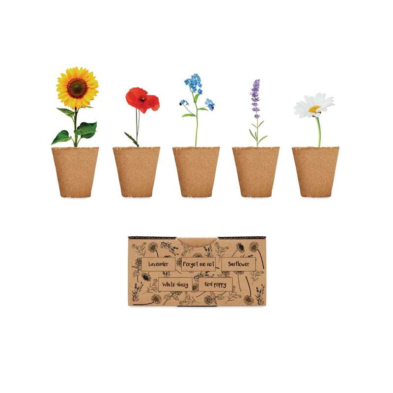 Kit de culture de fleurs - Graine à planter à prix de gros