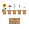 Kit de culture de fleurs - Graine à planter à prix de gros