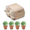 Kit de culture de cresson - Graine à planter à prix grossiste