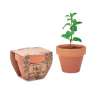 Klein terracotta potje met muntzaad - Plantzaad tegen groothandelsprijzen