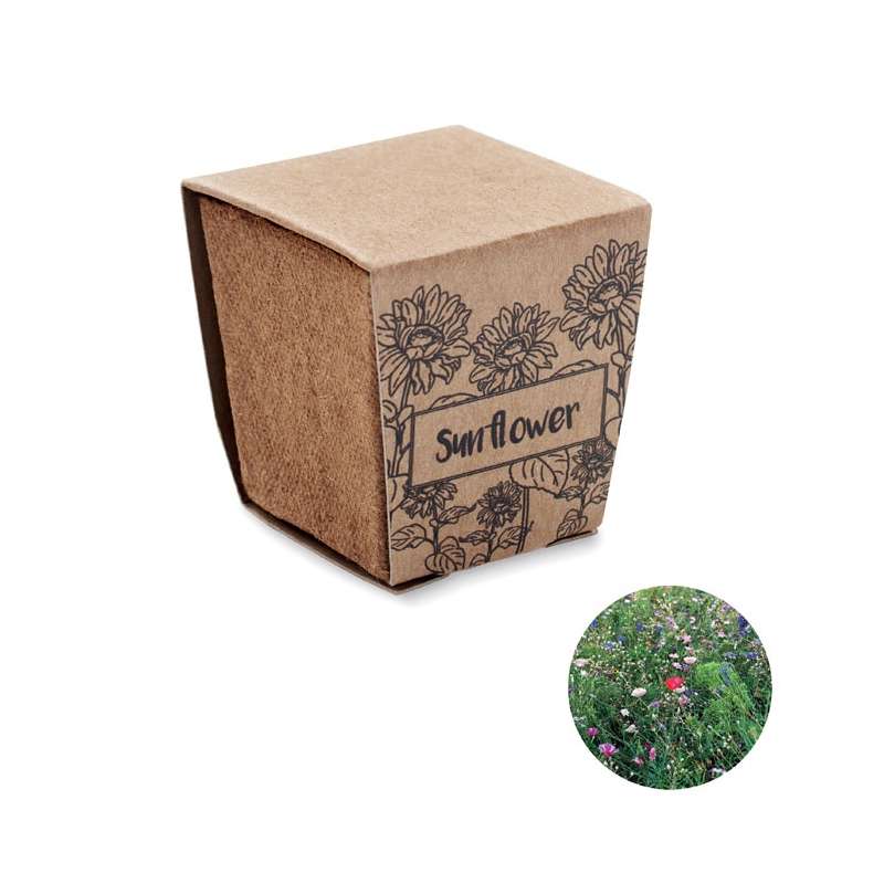 Kit de tournesol biodegradable con pastilla  - Semilla para plantar a precios de mayorista