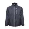 Donsjacket winter matelassé met capuchon - Blouson tegen groothandelsprijzen Donsjacket winter matelassé met capuchon - Blouson tegen groothandelsprijzen