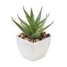 Green Artificial Cape Aloe Plant in Polypropylene - Planting seed at wholesale prices