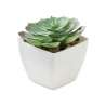 Mini plante artificielle - ARTIECHE - Graine à planter à prix grossiste