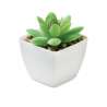 Bottiglia succulenta artificiale in polipropilene grigio-verde - Semi da piantare a prezzi all'ingrosso