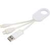 Troop 4-in-1 charging cable in recycled plastique - Charging cable at wholesale prices Troop 4-in-1 charging cable in recycled plastique - Charging cable at wholesale prices