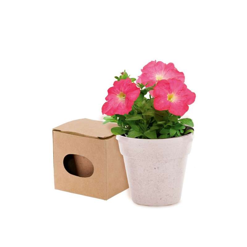 Biologisch Afbreekbare Bloempot met Zaden - Mini bloempot tegen groothandelsprijzen